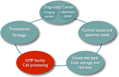 GMP Development Unit